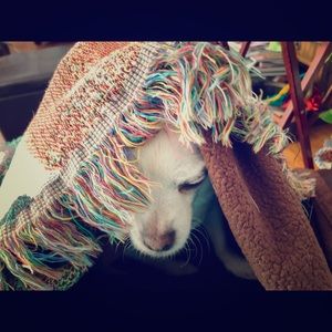 Posh Ambassador Maggie McMyler 🤍🌈❤️📦💜